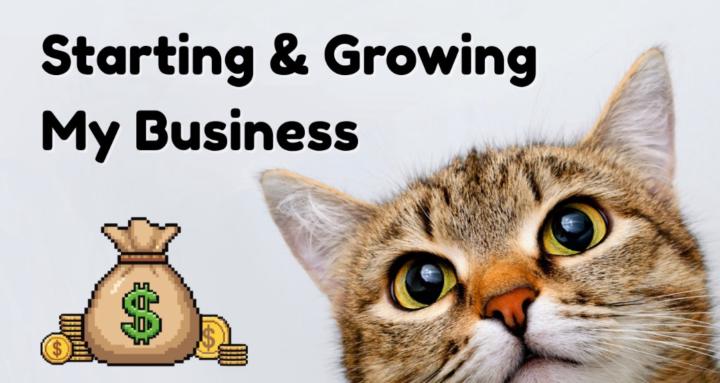 Starting & Growing My Business