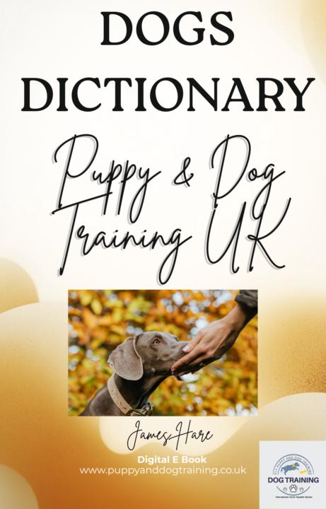 Dogs Dictionary