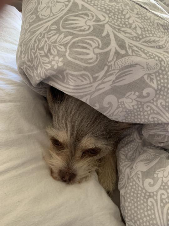 Anyone else noticed this? 