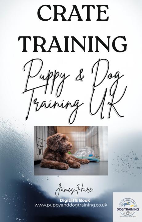 Crate Training......