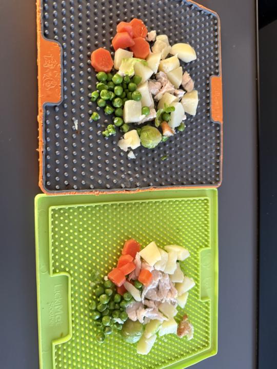 What did your dogs get for Christmas?