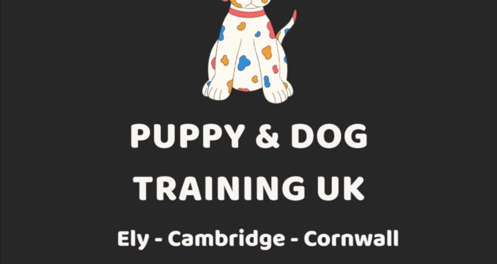 Puppy & Dog Training UK