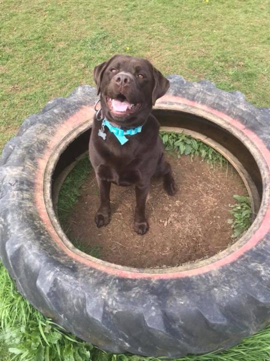 Do your good days outweigh the bad?