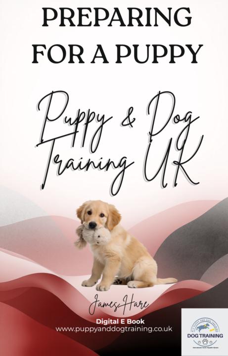 Preparing for a Puppy....... 