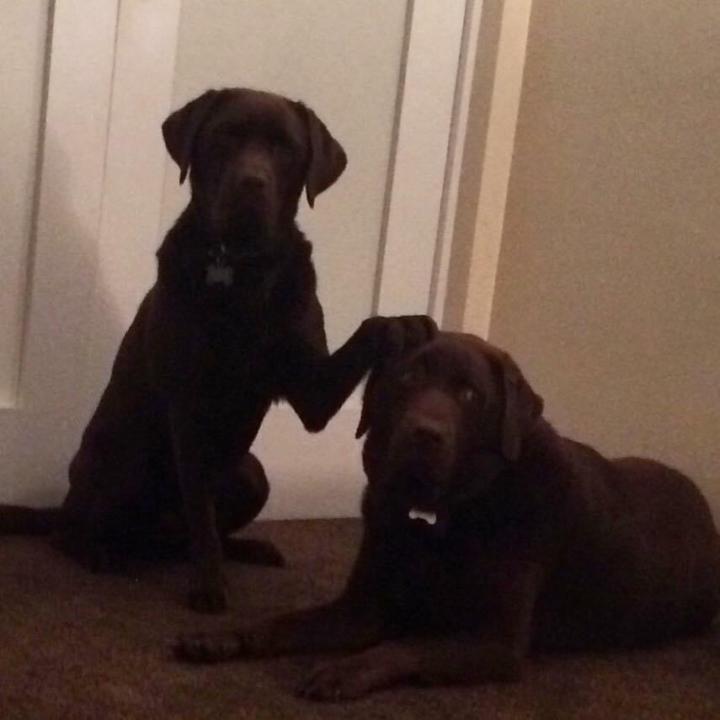 What’s on the training list today