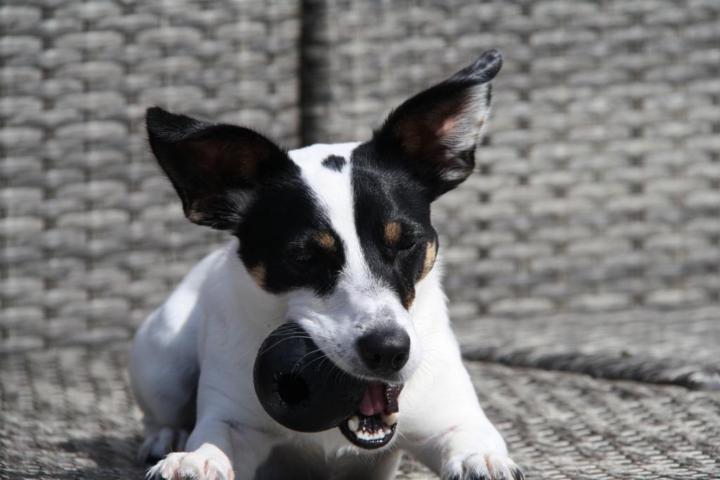 What does your weekend include?