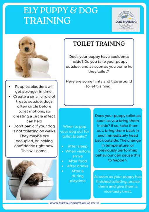 Toilet Training