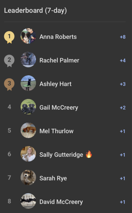 Leaderboard Celebration