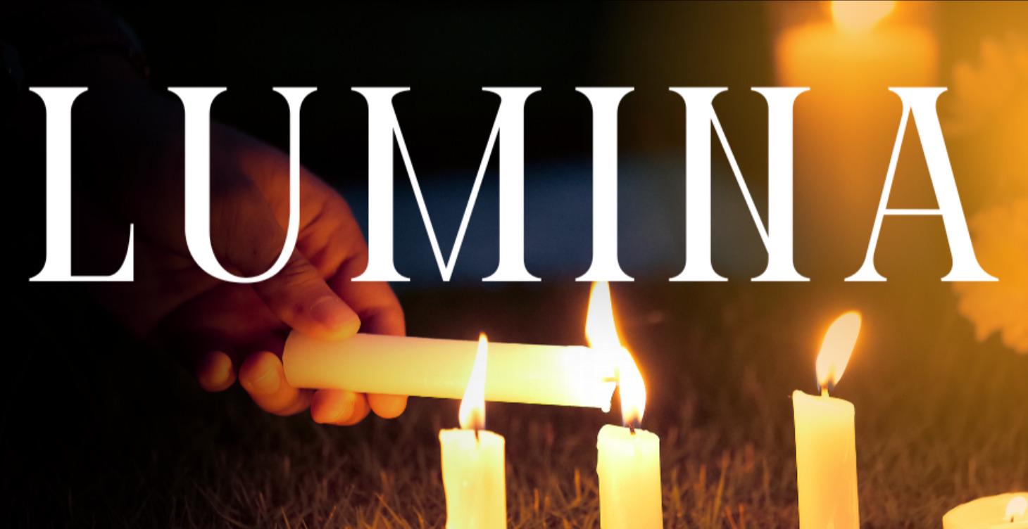 LUMINA MONTHLY WORKSHOP