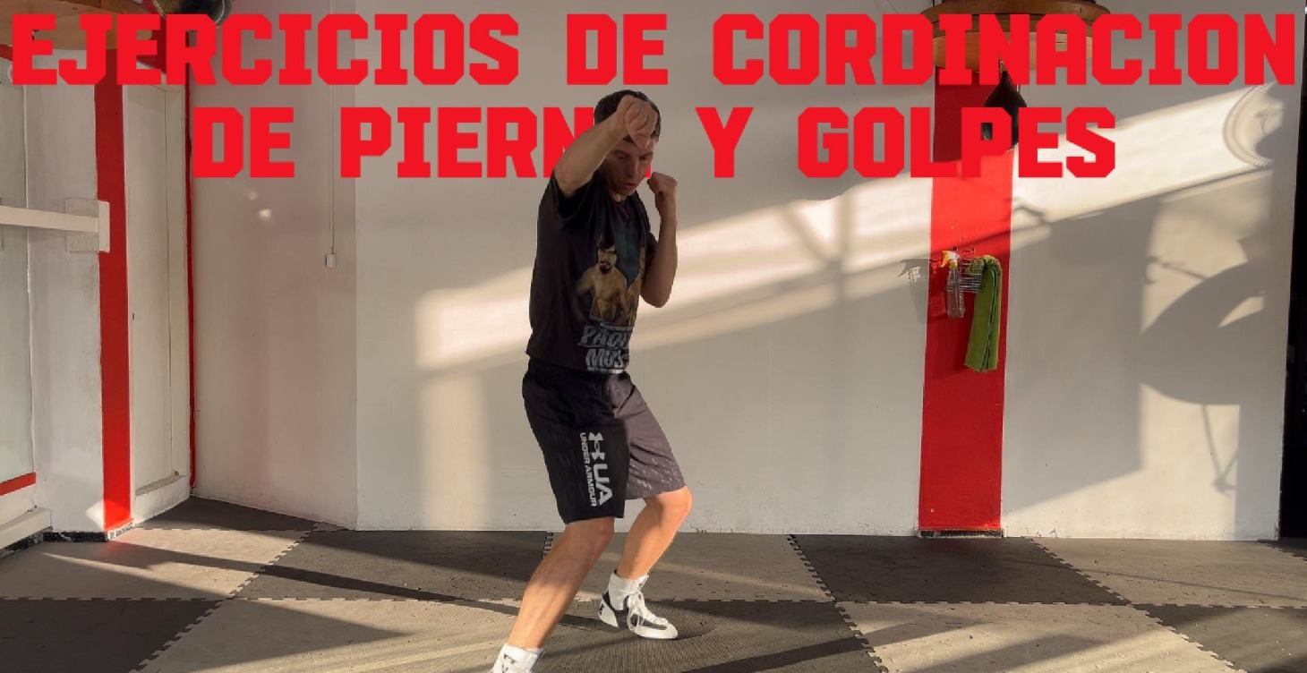 Movimientos de Boxeo