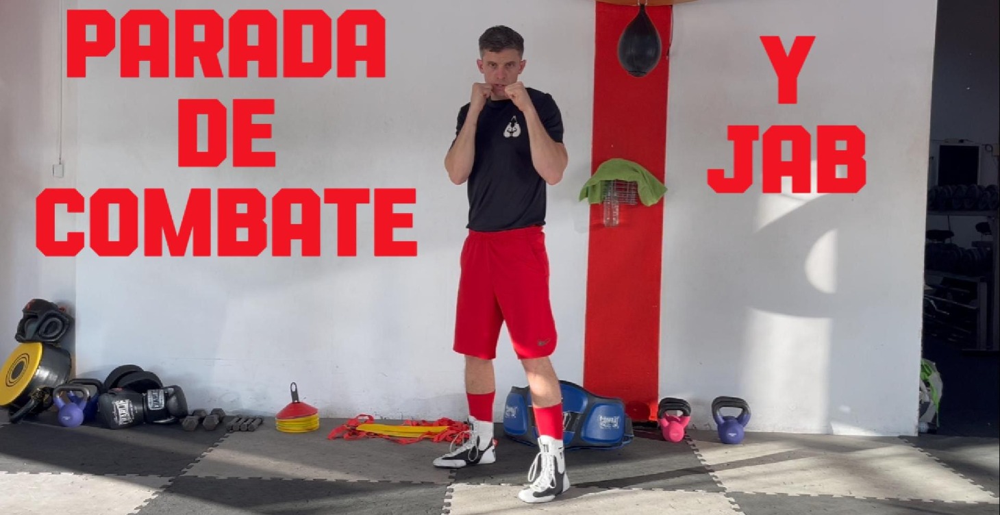Parada de combate, golpes y defensas