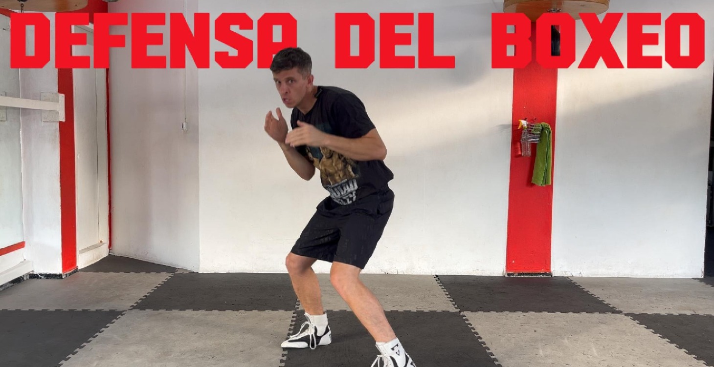 Defensas de Boxeo