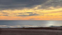 Veronica Gallego Garcia