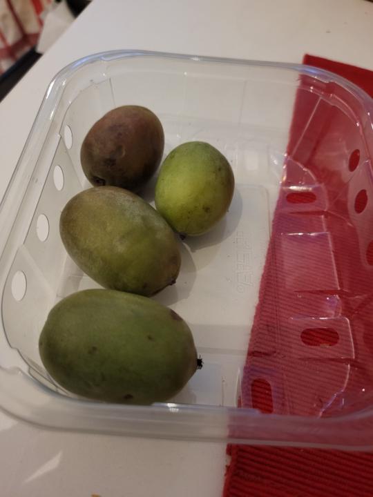 Deutsche Drachenfrucht?