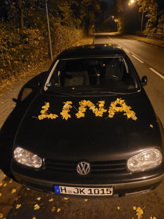 Wenn Kimi, Marie und ich warten müssen, bis wir abgeholt werden...