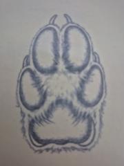 Jordi Casanova Alamillo