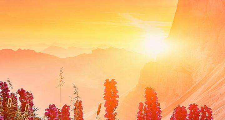 Unity World Family(UNWOFAM)