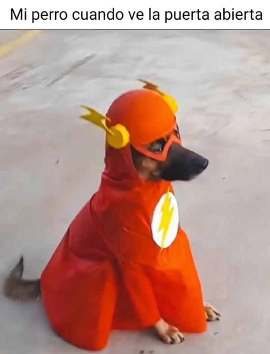 Iván Lavin Rodríguez