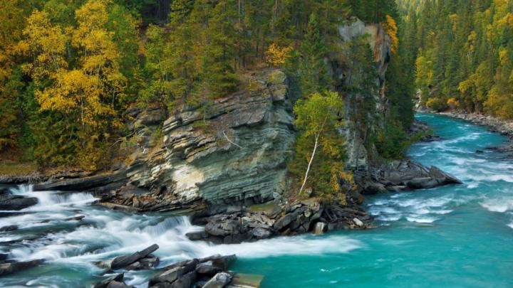 Danica Lourdu Nelson