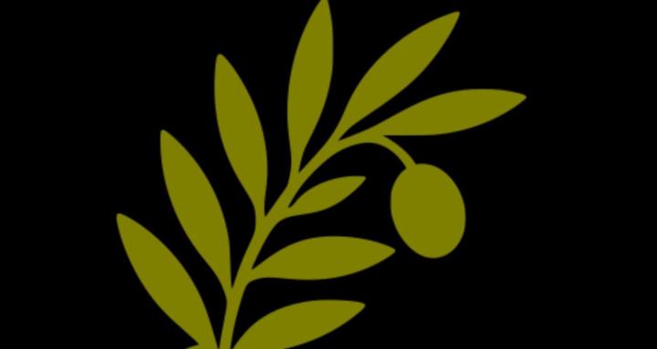 Peace Ambassadors <> Free 