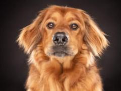 Kleineweischede Susanne