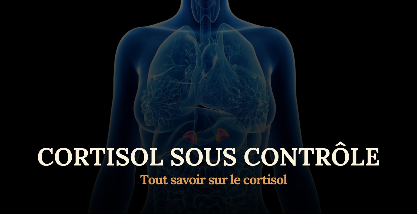 4️⃣ TOUT SAVOIR SUR LE CORTISOL