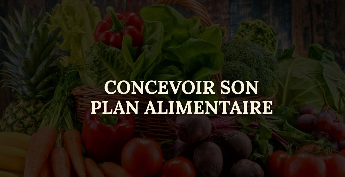 2️⃣ CONCEVOIR SON PLAN ALIMENTAIRE