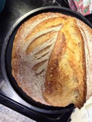 Doughlene Starter