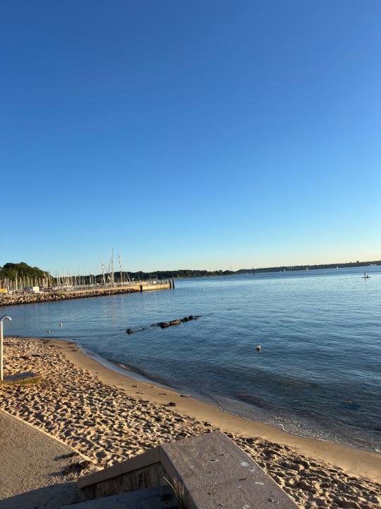 Hanna Schmidt-Tychsen