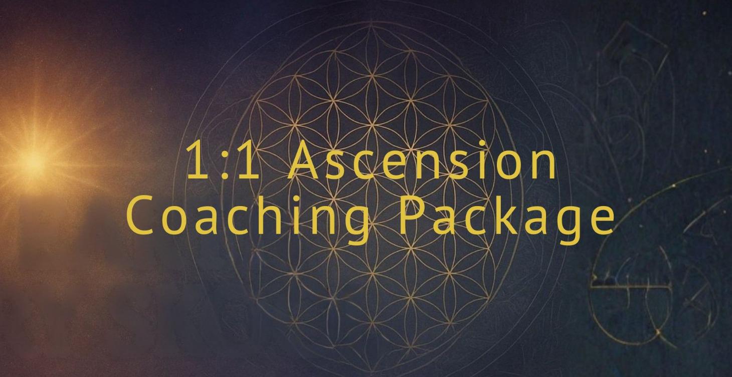 1;1 Ascension Coaching Package