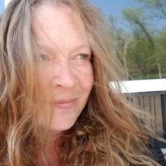Lisa Robinson