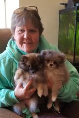Donna Beverin