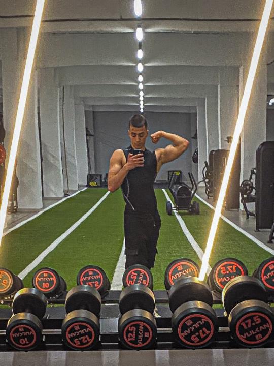 Ilies Radu