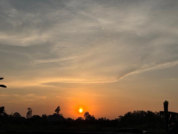 Ngân Trần