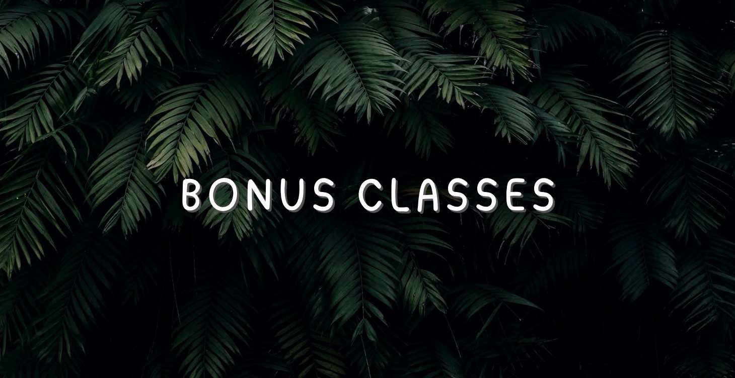 Bonus Classes