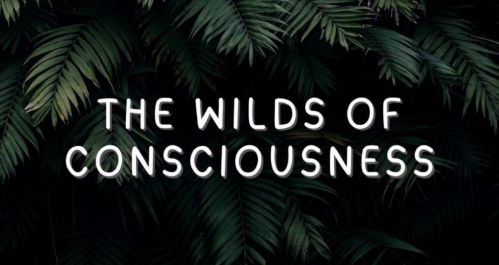 The Wilds of Consciousness