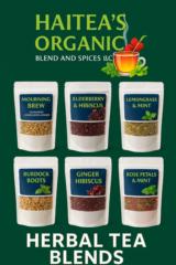 Adorah Pierre-Mondesir