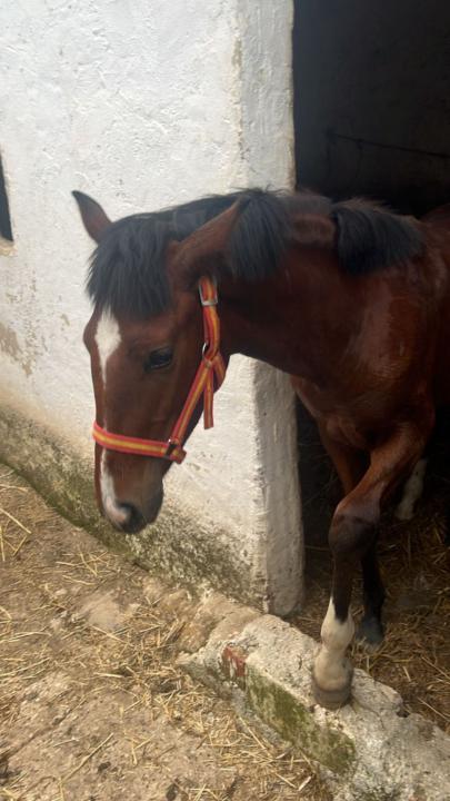 Juan. Aleriano Jiménez Muñoz