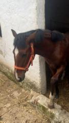 Juan. Aleriano Jiménez Muñoz