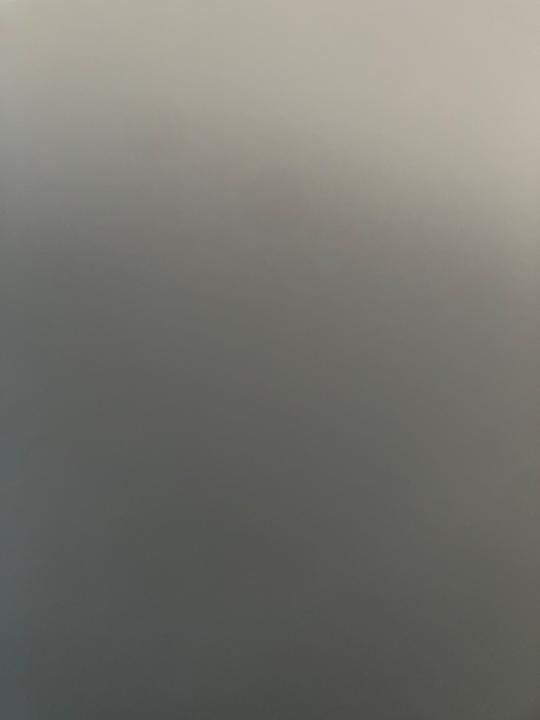 Letīcija Kazakeviča