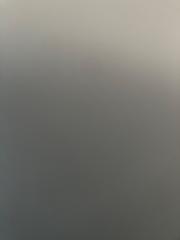 Letīcija Kazakeviča