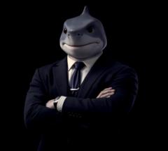 Mr Shark