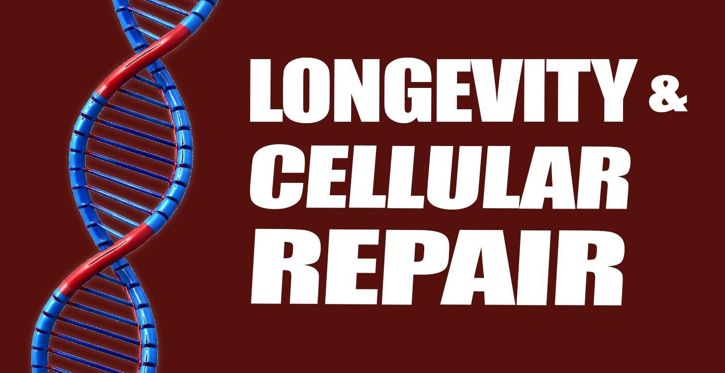 Longevity & Cellular Repair