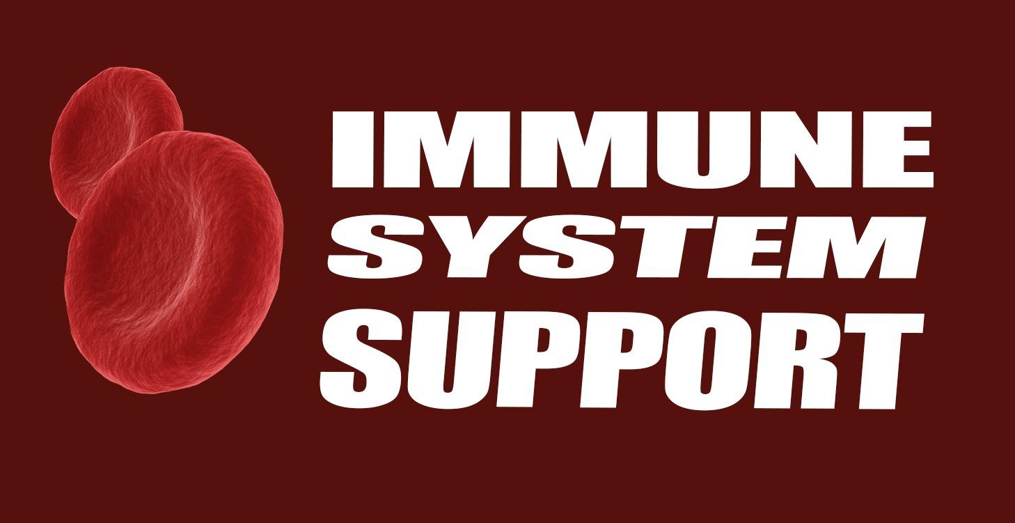 Immune System Support