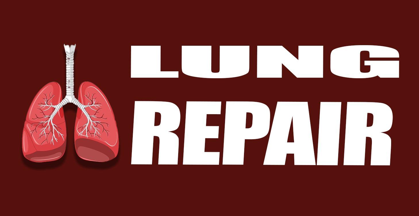 Lung Repair
