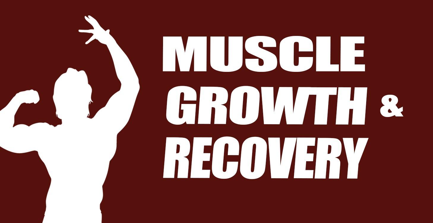 Muscle Growth & Recovery