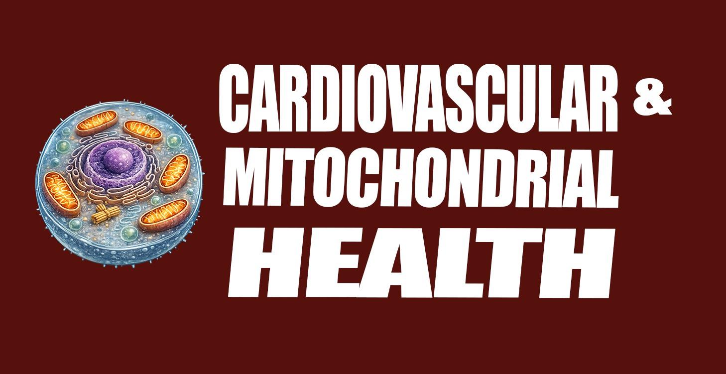 Cardiovascular & Mitochondria