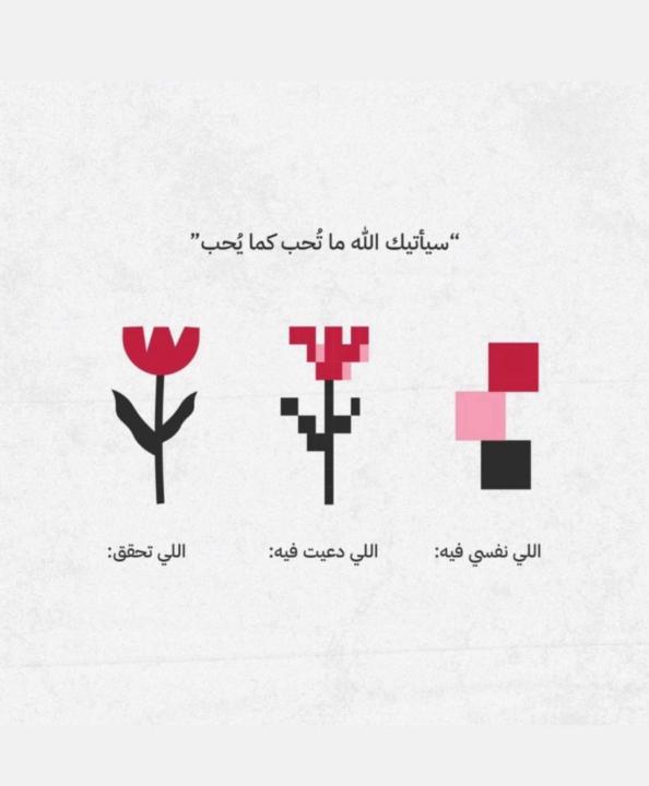 عفاف عابد