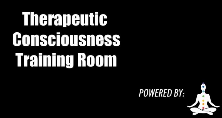 Life Academy: Training Room