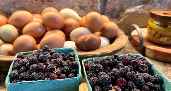 Homesteading Family